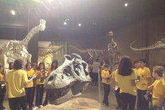10/08 - Visita ao Museu de Ciências Naturais - PUC